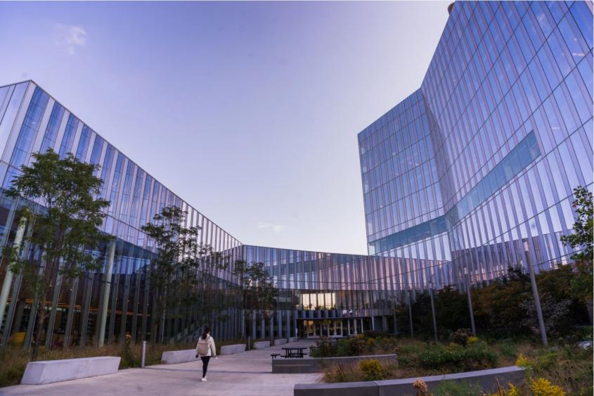 veterinary school in lyon france